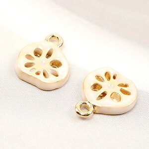 I~j`At[h`[ ^ HiTv`[ tFCNt[h`[ @ 1Jt S[h 10×12mmi2j