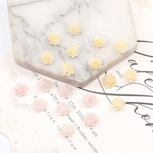 Ĩt[`[t \tp[c fRp[c  ߍ Wޗ J{V Ԃт Of[Vi30j