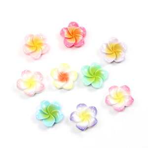 It[\tp[c  ̉Ԍ^p[c t[`[tfRp[c 20mmi10j