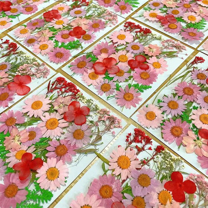 楽天市場】即日発送！押し花 アソート 天然素材 : craftmax