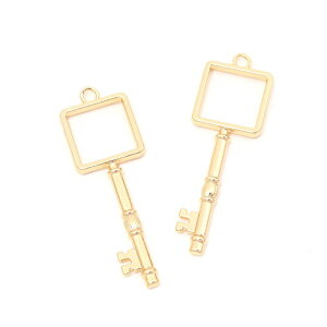 IWt[`[ XNGA^L[ 1Jt S[h 19×60mmi4j