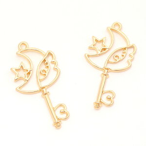 IWt[ @XebL`[t }WJXebL `[ L[`[ UVWg 20×40mm (2)