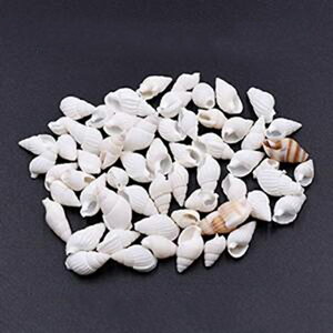 IVRf L̊Lk nhChpy50gi240jz