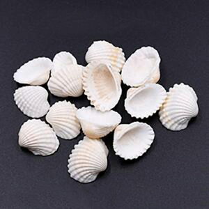 IVRf VF nhChpy50gi50jz