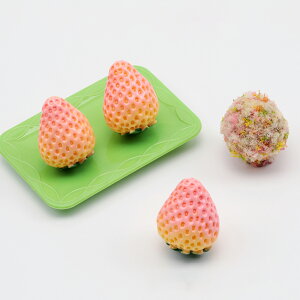 I~j`A  C`S  t[c ʕ HiTv p[c 2×2.6cmi2j