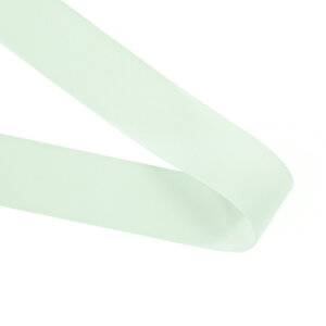 W[[bg { 24mm ~g 1m  / Georgette Ribbon 24mm Mint 1m