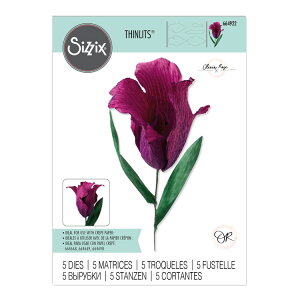 [SUPER PRICE] Sizzix VWbNX Vbc _C Zbg [tWh`[bv] / Thinlits Die Set 5PK Fringed Tulip