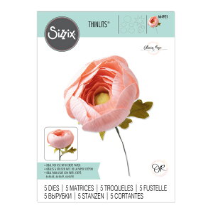 [SUPER PRICE] Sizzix VWbNX Vbc _C Zbg [iLX] / Thinlits Die Set 5PK Ranunculus