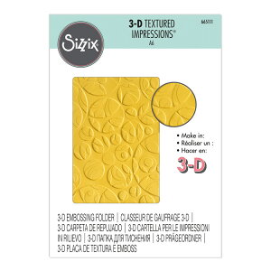 Sizzix VWbNX 3D eNX`[h CvbVY G{bVO tH_[ [XCX`[Y] / 3-D Textured Impressions Embossing Folder Swiss Cheese