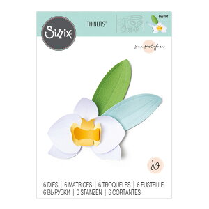 [SUPER PRICE] Sizzix VWbNX Vbc _CZbg [I[Lbh] / Thinlits Die Set 6PK Orchid by Jennifer Ogborn