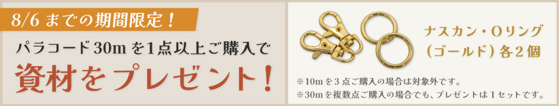 プレゼント企画