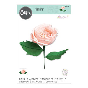 [SUPER PRICE] Sizzix VWbNX Vbc _C Zbg [K[f[Y] / Thinlits Die Set 7PK Garden Rose by Jess Slack