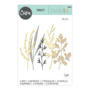 Sizzix VWbNX Vbc _C Zbg [Ebhh XeY] / Thinlits Die Set 5PK Woodland Stems by Olivia Rose