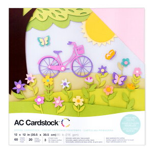 American Crafts J[hXgbN oGeB[pbN eNX`[h [XvO] eF3 v60 / American Crafts Cardstock Variety Pack 12" × 12" Textured Spring 60 piece