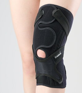 yz MEACLest (}NXg) GT|[^[ ×p ^ X|[c oR jO EH[LO ֐ߒ  x ی Œ Ep jp ʋC Lk 􂦂 { `O