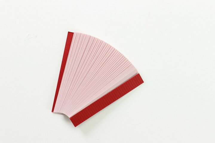 楽天市場 3980円以上送料無料 リトマス試験紙 自由研究 理科 実験 化学 学習 学習玩具 知育玩具 文房具 赤 青 インドア 子供 チャレンジ 小学生 中学生 高校生 大人 工作 室内あそび 手づくり ハンドメイド お家 遊ぶ 家遊び おもちゃ 女の子 男の子 子ども向け