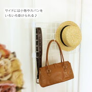 サイドネット付き
