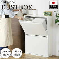 楽天市場】薄型 ダストボックス 奥行25の通販