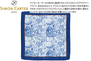 SIMON CARTER �T�C�����J�[�^�[ WATERCOLOUR PAISLEY POCKET SQUARE 40���N�L�O �E�H�[�^�[�J���[�y�C�Y���[ �|�P�b�g�`�[�t�y�`�[�t �|�P�b�g�X�N�G�A�z�y�u�����h�z ���̓�