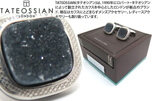 TATEOSSIAN ^eIVA SILVER DRUSY SIGNATURE RHODIUM & DRUSY CUFFLINKS@hD[W[VOj`Vo[JtXiWEj yuhz