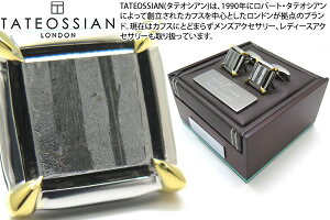 TATEOSSIAN ^eIVA SILVER SEYMCHAN PALLASITE METEORITE 2 MICRON YELLOW GOLD CLAWS CUFFLINKS@ZC`pTCg覐΃NEYVo[JtXi2~NS[hbLjE20Zbg yuh