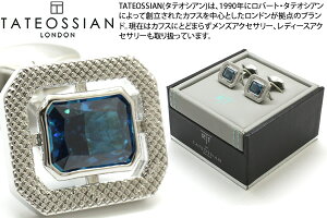 y2025AWfzTATEOSSIAN ^eIVA HALO RECTANGLE RHODIUM & BLUE CZ CUFFLINKS@nN^OJtXiWE&u[jyzyJtX{^@JtNXzyuhz