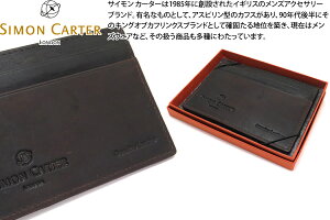 SIMON CARTER TCJ[^[ BROWN T-REX CARD HOLDER T-REXJ[hz_[iuEjyJ[hP[X J[hz ̓