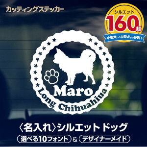 VGbgXebJ[ yŒZ\z   JbeBOV[g XebJ[ Iׂ47F Iׂ錢VGbg160ȏ  킢   ybg