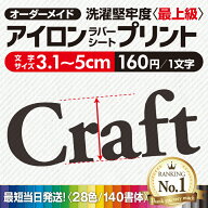 簡単きれい アイロンプリント 【最短当日発送可】 《図案確認無料》 切文字 アイロンステッカー お名前シ…