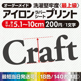 アイロンプリント 簡単きれい 【最短当日発送可】 切文字 アイロンステッカー お名前シール 体操服 ゼッケン 漢字 オリジナル オーダーメイド 大きい 剥がれない 文字 名前 背番号 アルファベット 140書体 18色 ひらがな カタカナ 数字 ユニフォーム ポロ＆Tシャツ 応援