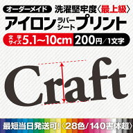 簡単きれい アイロンプリント 【最短当日発送可】 《図案確認無料》 切文字 アイロンステッカー お名前シ…