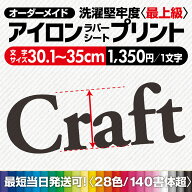 簡単きれい アイロンプリント 【最短当日発送可】 《図案確認無料》 切文字 アイロンステッカー お名前シ…