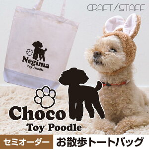  UobO yꖳz ql̃IWi Ug[g Iׂ6F VGbg160ȏ LoXobOzf IWi Z~I[_[ MTCY G`PbgobO ~