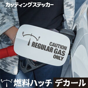 給油口ステッカー カッティングシート製 レギュラー ハイオク ディーゼル 選べるカラー47種 ステッカー シール 防水 給油ハッチ 自動車 車 カー用品 デザイン かっこいい かわいい おしゃれ