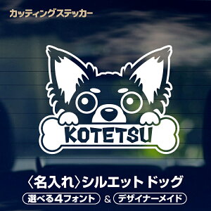 yŒZ\z   CXgXebJ[ JbeBOV[g XebJ[ Iׂ 47F 50ȏ  킢   ybg