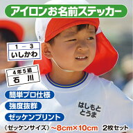 【簡単きれい】 アイロンプリント お名前シール ゼッケン用 お急ぎ対応 サイズ指定OK オーダーメイド ア…