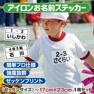 【簡単きれい】 アイロンプリント お名前シール ゼッケン用 お急ぎ対応 サイズ指定OK オーダーメイド ア…
