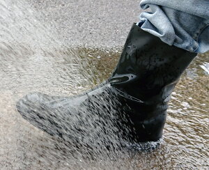 yzV[YJo[(nCJbg)S LтǂvIu[cEXj[J[ɑΉyShzChEBOsɂCV[Y(u[c)Jo[tLvނE