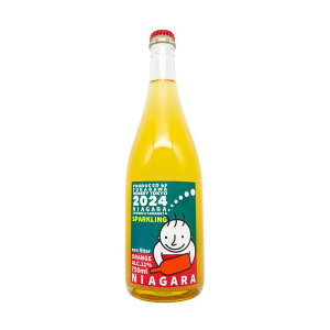 [샏Ci[ R`YiCAK IWXp[NO 2024iIWAj750ml