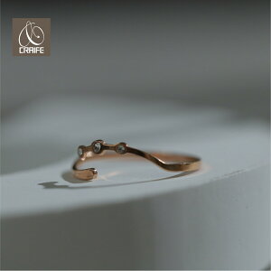 T[WJXeX O w AM[Ή 18KR[eBO fB[X 12 l i ؚ GKg Vv fB[X sNS[h  v`vCX C