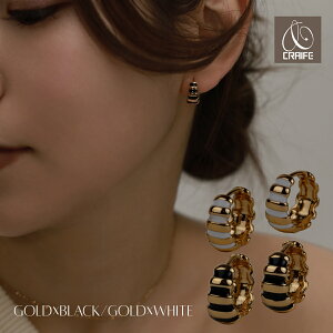 sAX AM[Ή 18KR[eBO fB[X t[vsAX _ l Vv 킢 GKg WG[ S[h  v`vCX CRAIFE