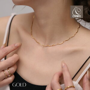 yJn2Ԍ zN[|zzz lbNX T[WJXeX 316L AM[Ή 18K R[eBO fB[X l 킢 Vv GKg WG[ S[h 