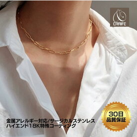 【P10倍+最大30％OFFクーポン配布中】 ネックレス 金属アレルギー対応 サージカルステンレス 18K K18 コーティング チェーン スター レディース 大人 かわいい エレガント 上品 ジュエリー ペンダント ゴールド 送料無料 プチプライス高見え CRAIFE