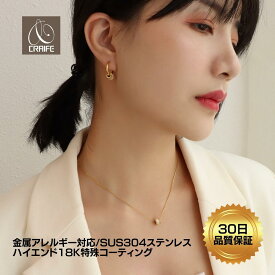 【P10倍+最大30％OFFクーポン配布中】 ネックレス 金属アレルギー対応 SUS304ステンレス 18K K18 コーティング チェーン ジルコニア チャーム レディース 大人 かわいい エレガント 上品 ジュエリー ゴールド 送料無料 プチプライス高見え CRAIFE