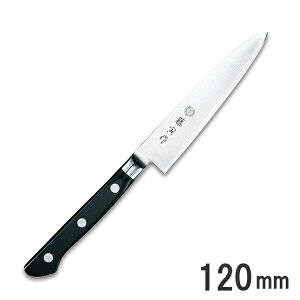 ZFU-801 Ѝ DPRog|itjyeBiCt 120mm(EiCt)@_NH