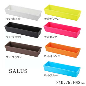 SALUS/セイラス カトラリーケース Lサイズ 24×7.5×H4.3cm　≪日本製≫17-192_SK