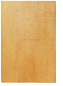 No.411 P[L߂ 450×s300×9mm쏊(̂Ê) _SR