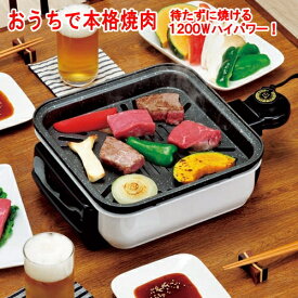 ＜送料無料＞電気式コンパクト焼肉器 ちょこちょこ焼き 1200W 33×24cm KS-2847 日本製ホットプレート 【沖縄は送料1500円】80サイズ