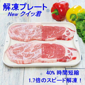 yz𓀁I A~ 𓀎M KS-3181 21.5×s25×2.7cm NewNCbN O { } }Ⓚ ٓ eMƂ ȒP 𓀃v[g@60TCY