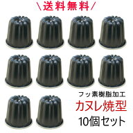 ◎カヌレ焼型 10個セット D-076 Φ57×H56mm 100ml 【レビュー投稿特典付】ブラックフィギュア フッ素樹…